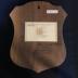 Plaque Appreciation