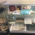  glass  display cabinets 