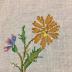 table cloth