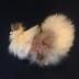 stuffed animal