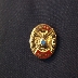 AHEPA Member Lapel Pin