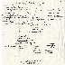 early greek immigrant family tree